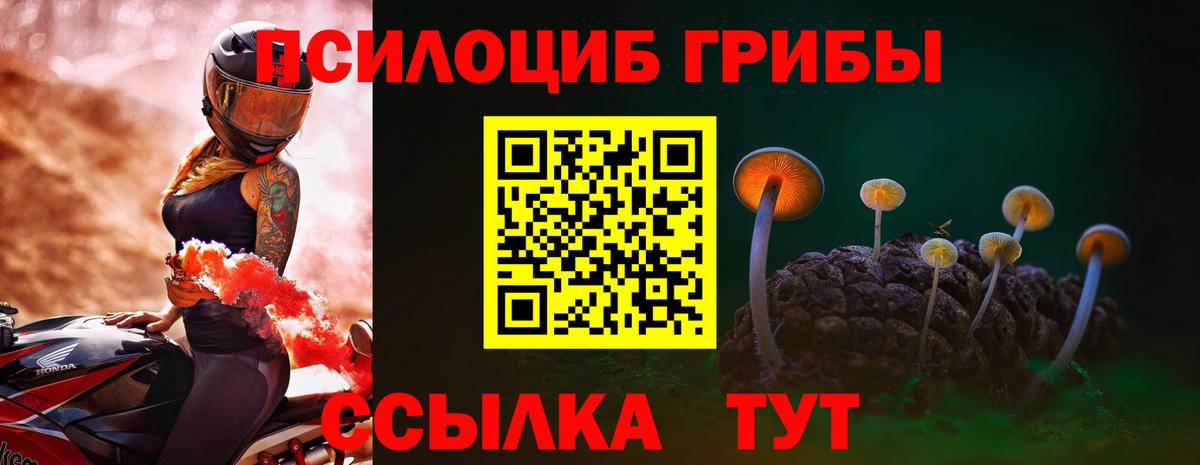 Галлюциногенные грибы Psilocybine cubensis Касимов