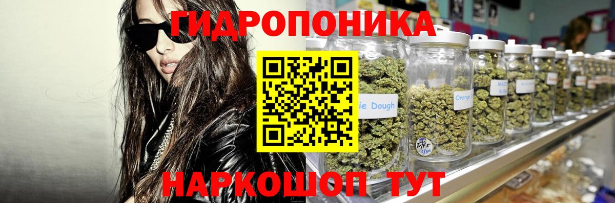 Касимов  Конопля сатива  Вход с VPN  Шишки марихуана Amnesia  Бошки Шишки конопля 